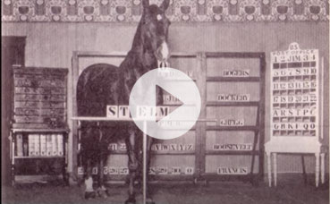 Beautiful Jim Key - the world's smartest horse